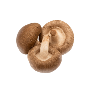 cogumelo shiitake