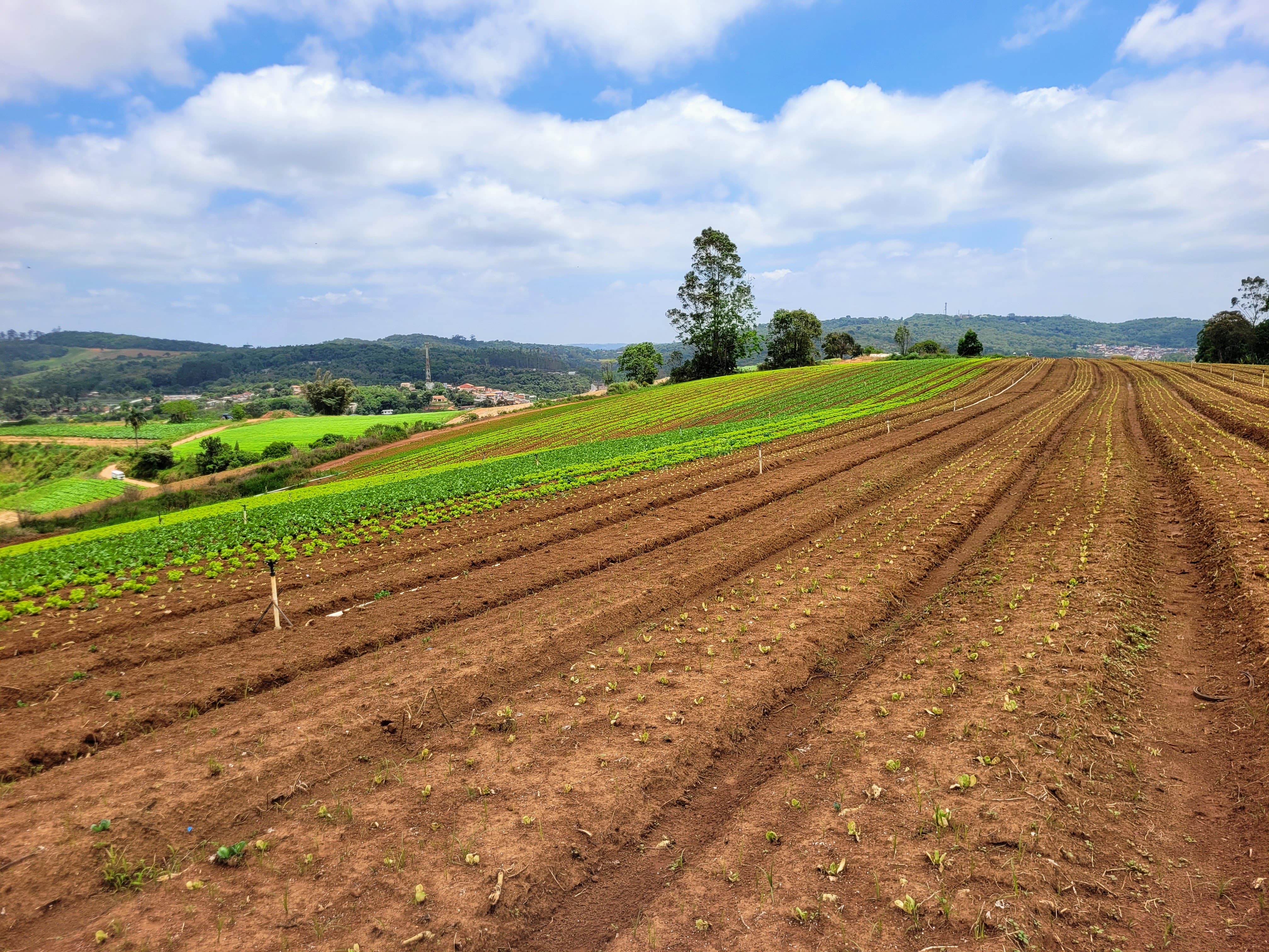 biodiversidade